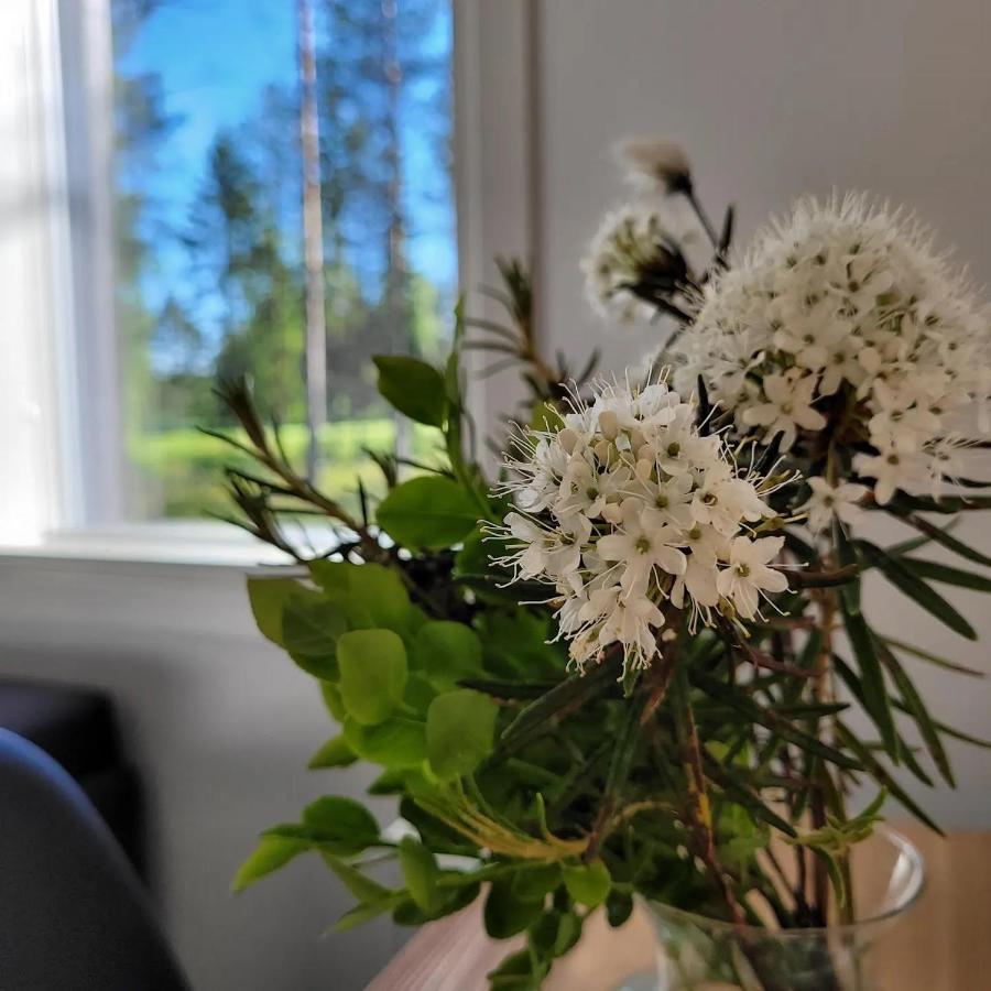 Siikavilla, Siikajoki Exterior foto